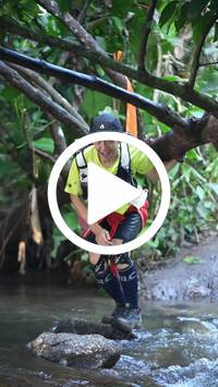 BIB:  <button type="button" onclick="openModal(27808212)" class="btn btn-primary btn-sm float-right" data-toggle="modal" data-target=".modal-high-quality">
                <i class="fa fa-download"></i> Download
                </button>